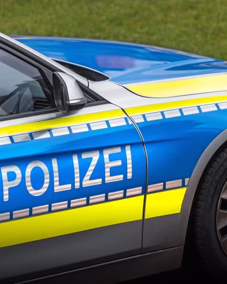 Government fleet services